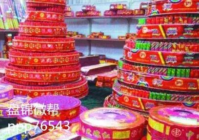 发生车祸英勇牺牲的女民警是谁,最美女交警遇害案