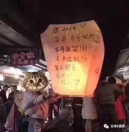 张翰安检的过程,张翰海关安检