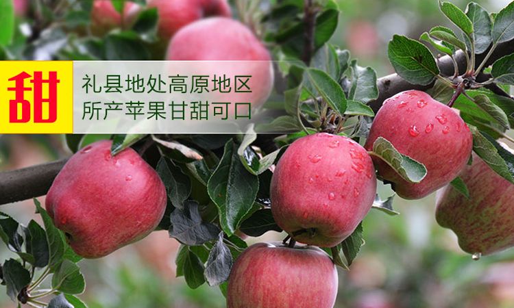 闲鱼年货节来啦!助农扶农,一起过个好年!