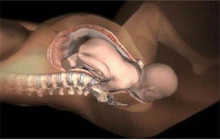 胎儿已顺利入盆的4个征兆,胎儿怎么样才可以知道入盆