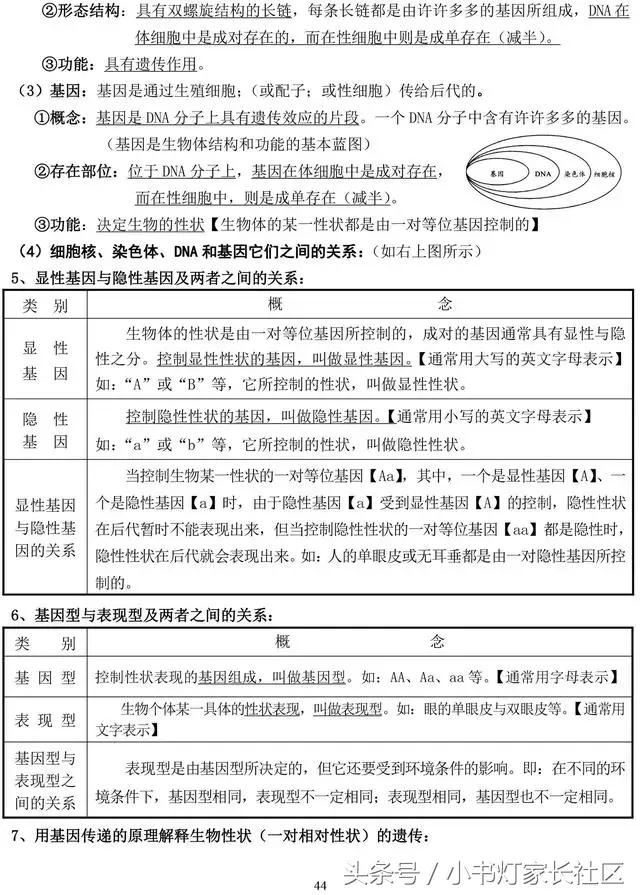 中考生物知识点总复习,中考生物复习要点最新版