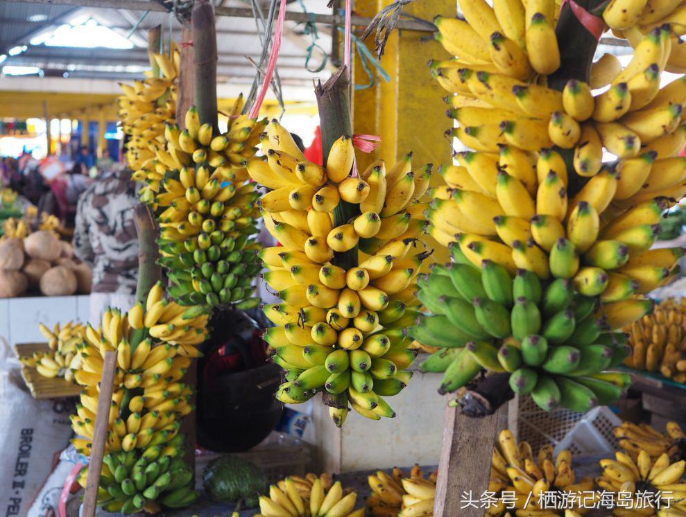 前任3林佳最后一个人出去旅游,前任3林佳走的片段