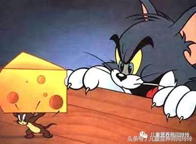 适合儿童的奶酪推荐,适合宝宝吃的奶酪推荐