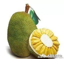 西瓜为什么是北瓜,为什么西瓜叫西瓜不叫绿瓜