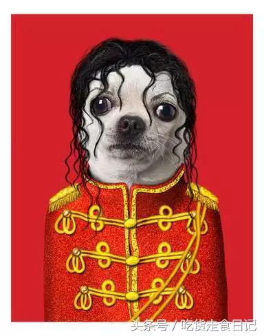 PETS ROCK x STARBUCKS 联名限量!又一波新的汪星人提前发售!