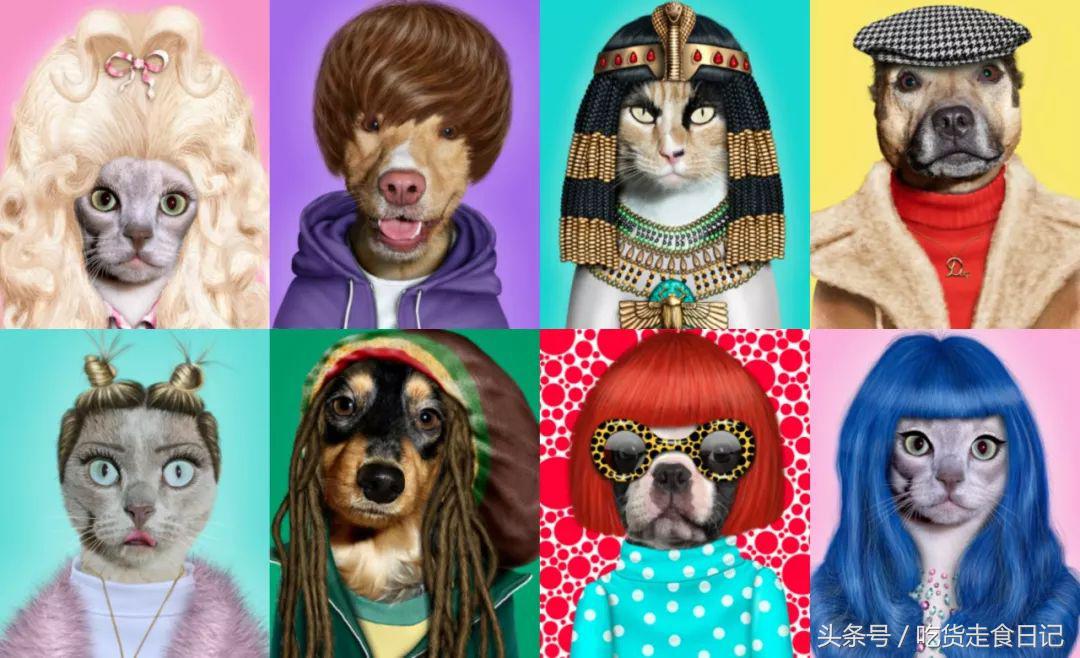 PETS ROCK x STARBUCKS 联名限量!又一波新的汪星人提前发售!