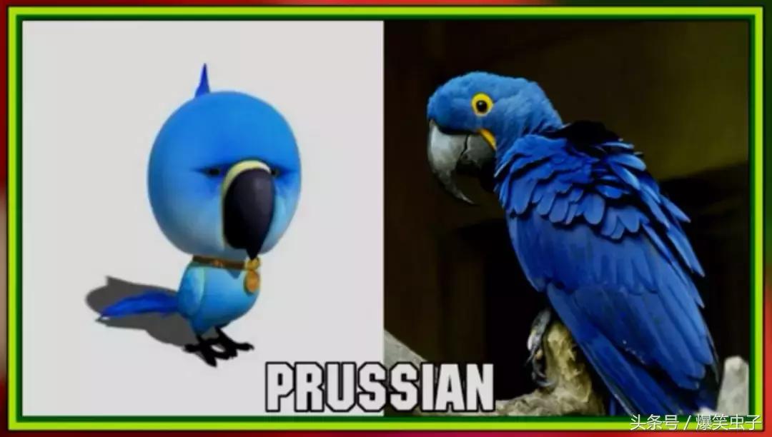 爆笑虫子小粉虫怎么来的,快速了解爆笑虫子