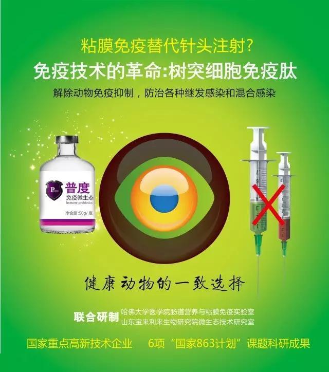 普度5号,肉牛口蹄疫的症状和治疗方法