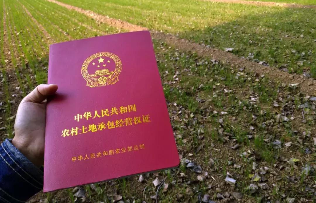 承包地确权后没有宅基地怎么办,土地确权登记完还没发证怎么办