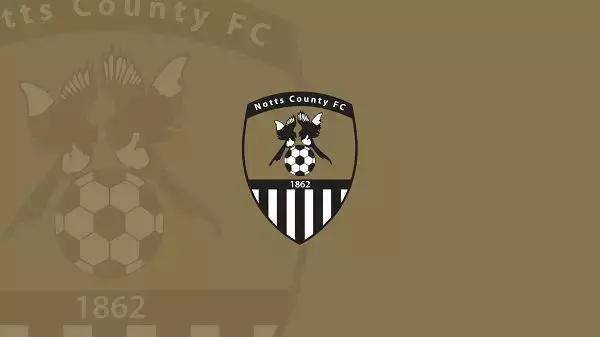 海鸥老鹰天鹅,英格兰俱乐部为什么都喜欢用鸟来做队徽?