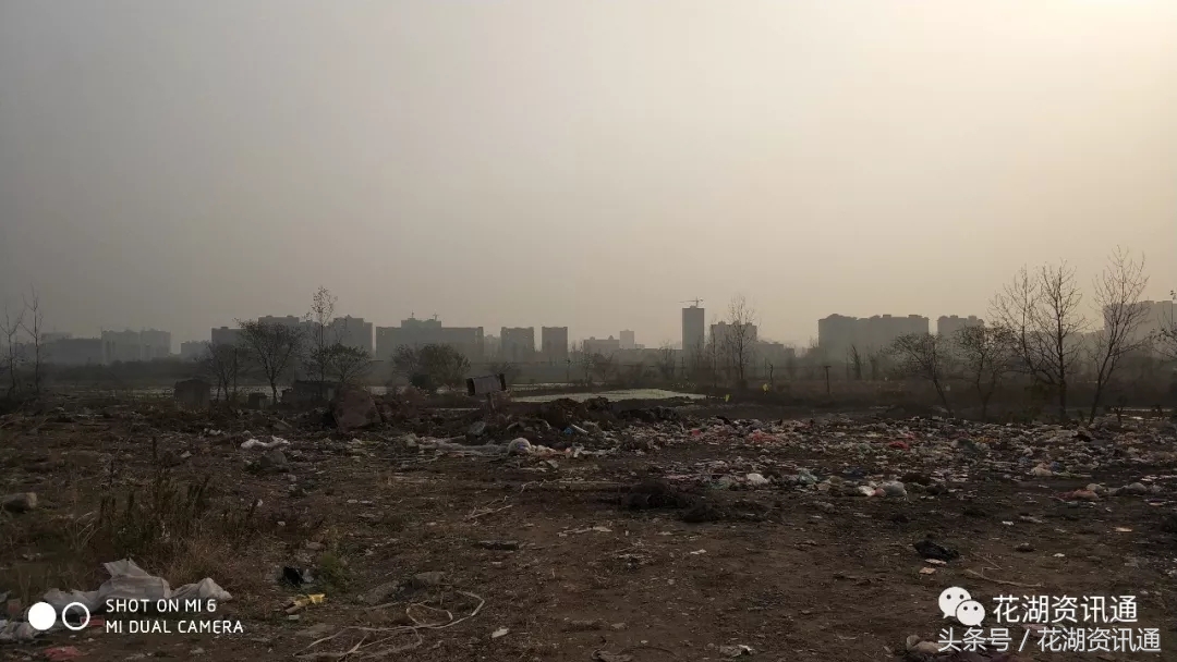 湖北国际物流核心枢纽产业规划,湖北国际货运物流中心