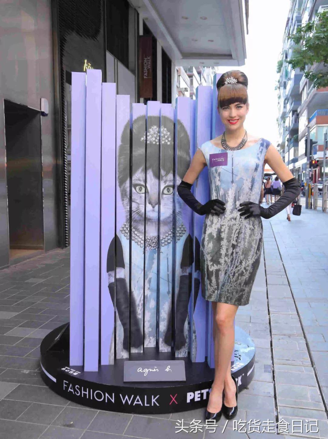 PETS ROCK x STARBUCKS 联名限量!又一波新的汪星人提前发售!