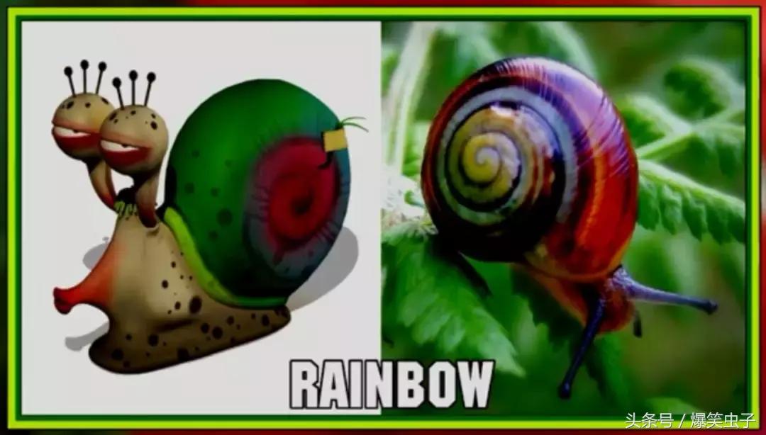 爆笑虫子小粉虫怎么来的,快速了解爆笑虫子
