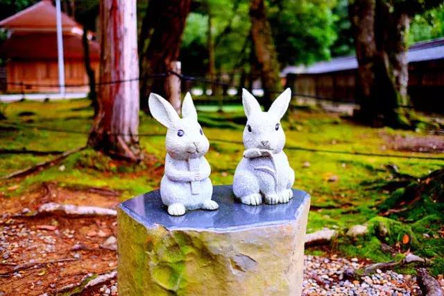 甯︿綘鍘绘棩鏈湅澶滄櫙,涓滀含甯︿綘娓歌鏃ユ湰缇庢櫙