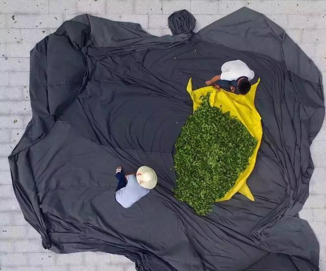 安溪铁观音真的好喝吗,铁观音不好喝为什么那么多人喜欢