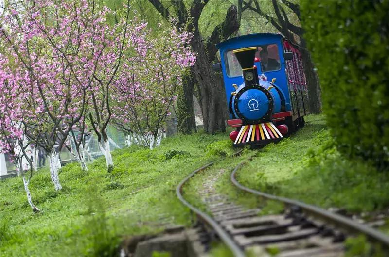 上海100个公园图片,上海有哪些免费的国家级公园