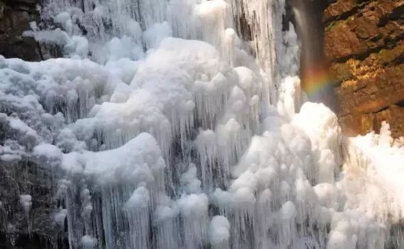 寒气席卷、叶汽成霜……陕西6处大美雾凇奇景上线！