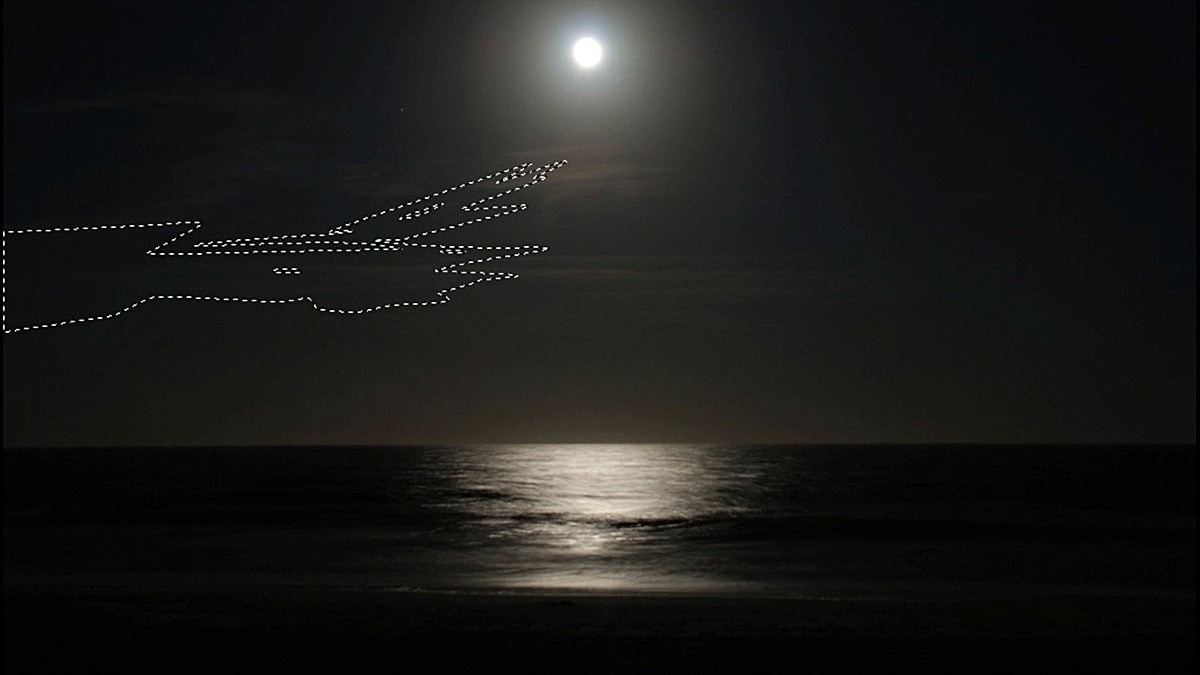 艺术家的电脑文件夹里藏着“双飞艺术”