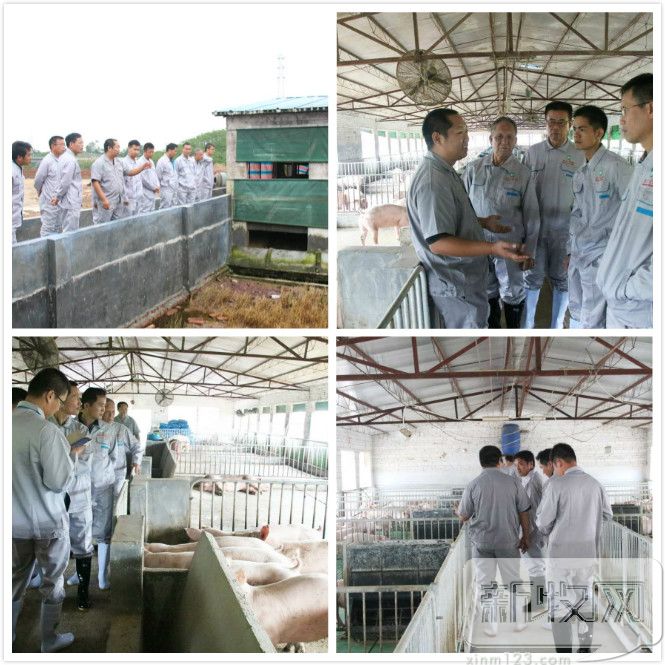 淇濊偛鐚劅鏌撲吉鐙傜姮杩樻湁鏁戝悧,濡備綍璁╃尓鍦轰吉鐙傜姮杞槾