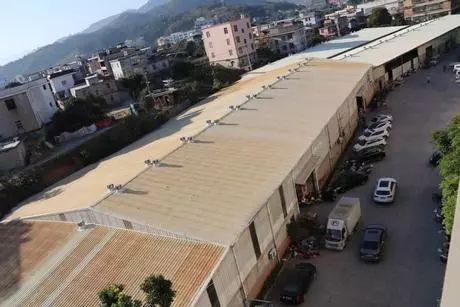 泉州泉法拍卖公司,泉法拍卖最新信息