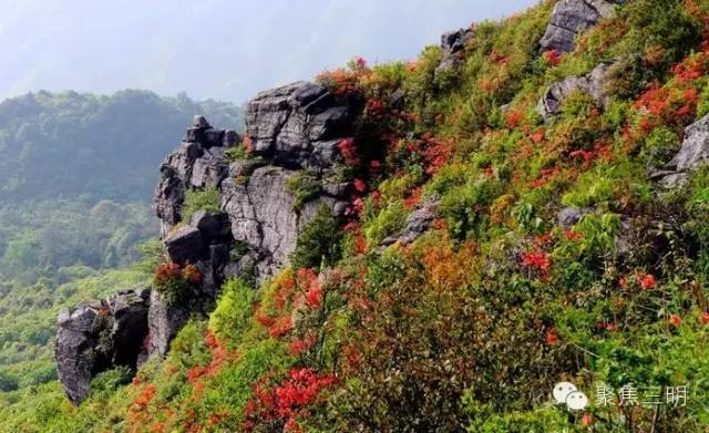 2018涓夋槑鏃呰鏃ュ巻,涓夋槑鏃呮父鏀荤暐鎬荤粨