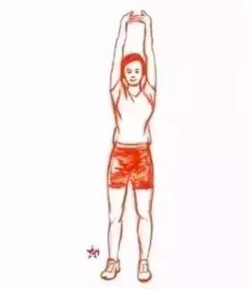 张雨绮怎么瘦成筷子腿,张雨绮如何练腿