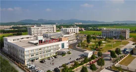 对话│它与港深隔海相望，即将迎来重要发展机遇！刘锐濠谈南朗梦想