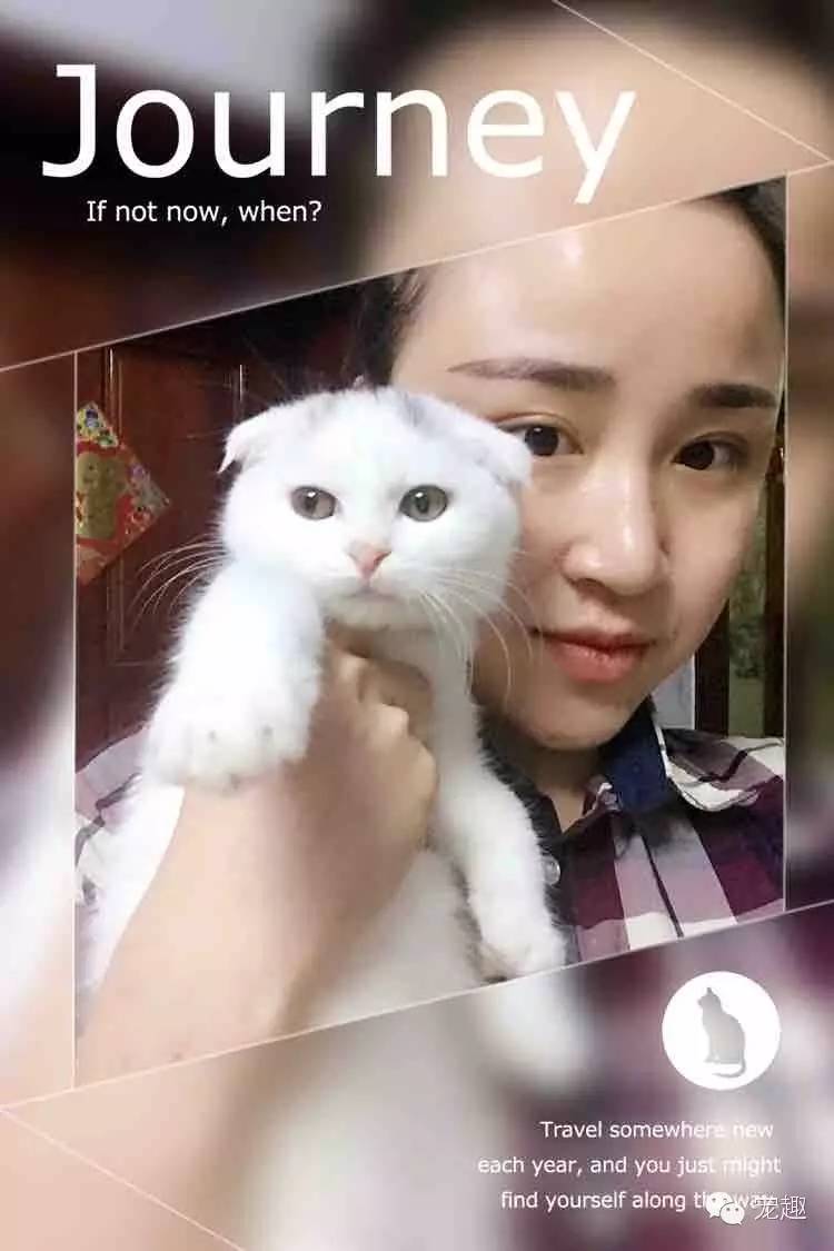 怎么解决猫咪眼睛流脓问题,猫咪经常流泪有眼屎怎么回事