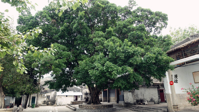 新年广州珠海长隆游记,广州珠海长隆澳门自由行攻略