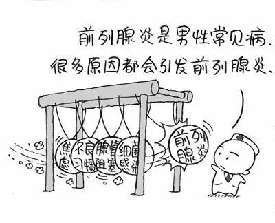 封面别再被广告忽悠！广东省名中医、男科专家陈志强教授全面解读前列腺问题