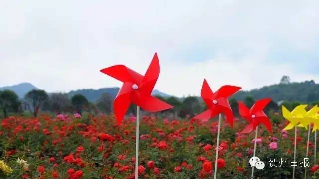 腾飞的昭平！中国最美骑行县，即将诞生！