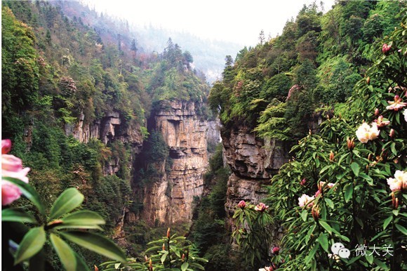 秘境摹本,秘境书法字