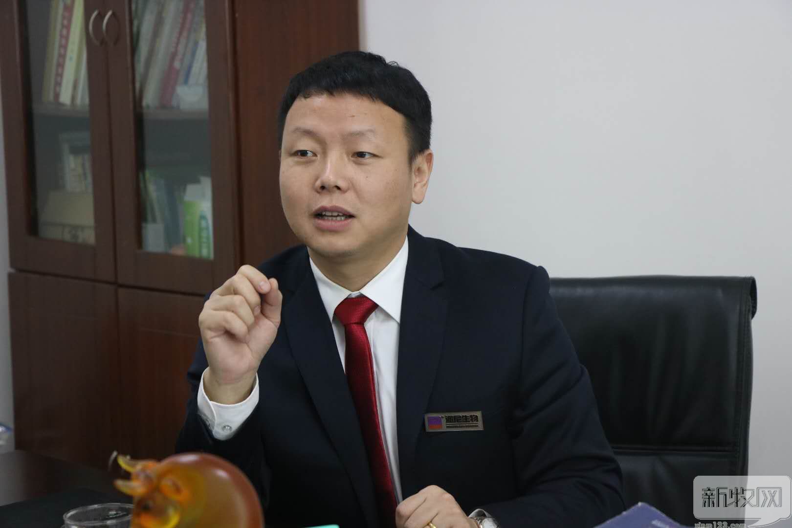 派尼生物饲料,派尼生物股票