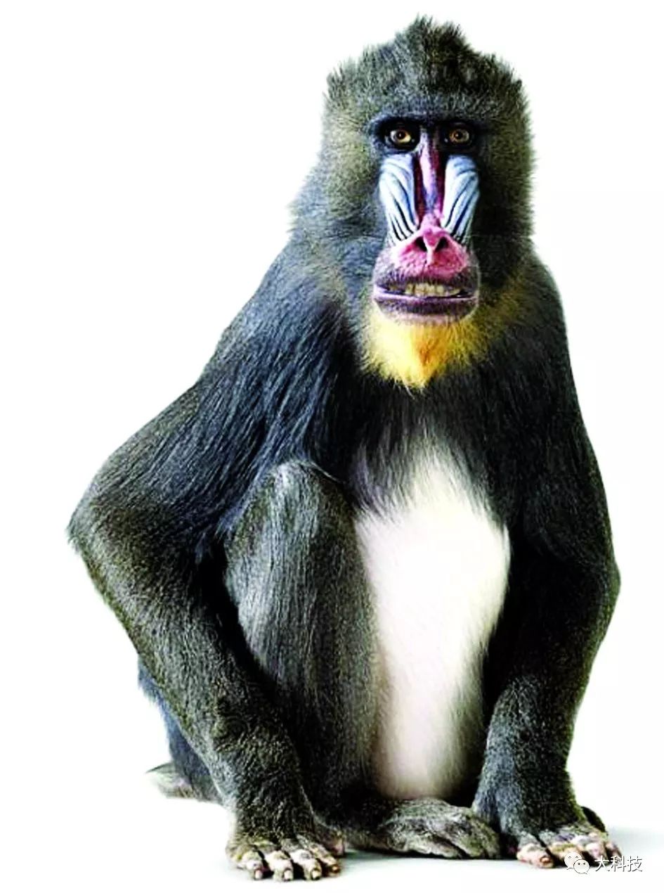 想赢必须要输得漂亮,想赢玩什么英雄