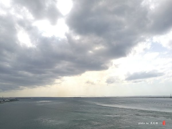 珊瑚海日本,陪你去看海底世界