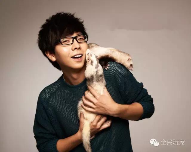 养一只貂的成本,家里可以养貂吗