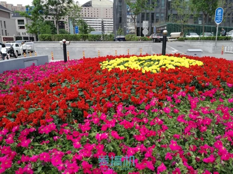 华为g9青春版跑分,怎么测试华为g9青春版