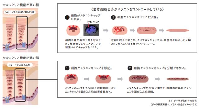 pola美白系列哪个好,pola美白系列哪款好