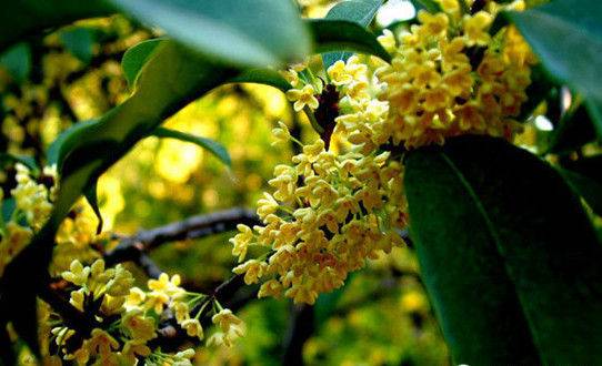 汉中一日游攻略高铁,汉中周边2-3天短途旅游坐高铁