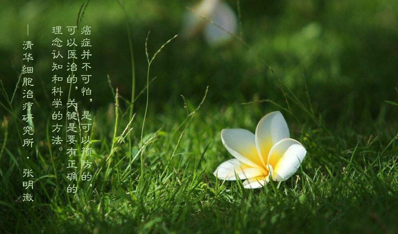 肺鳞癌能用nk细胞疗法吗,肺腺癌nkt治疗成功案例