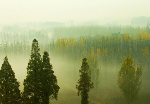 主持讨论会议怎么控场,主持会议的五个技巧