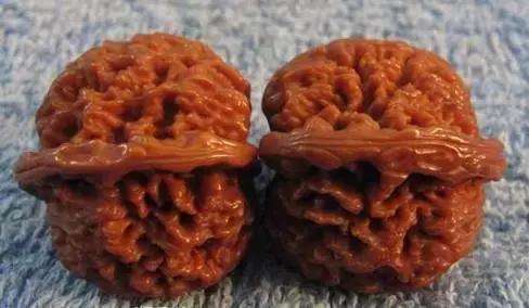 文玩核桃品种图鉴大全前十名,文玩核桃手串品种大全