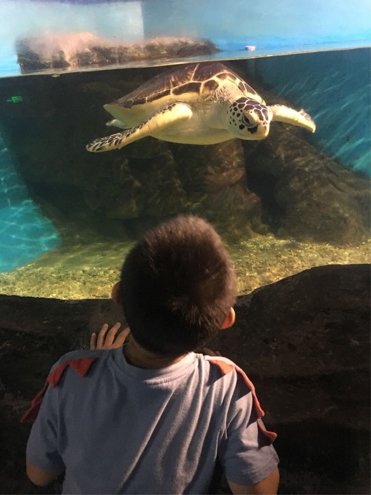和小屁孩们一起出去玩的视频,和小屁孩玩的一天