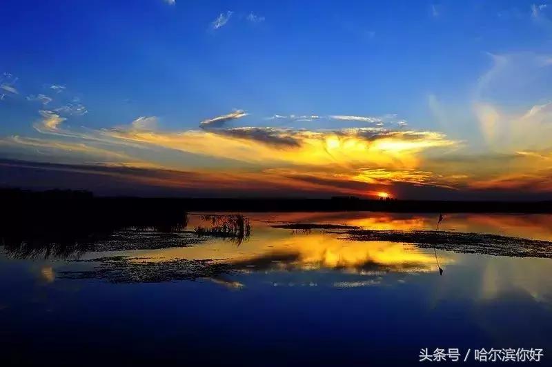 2018年哈尔滨各区县排名,2018年哈尔滨各区gdp