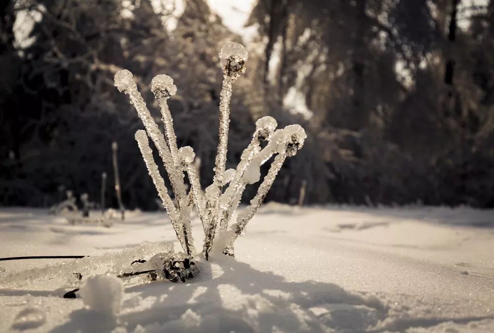 女儿湖简谱完整版,女儿湖的山水如画