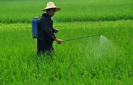 农村无本钱创业22种方法,农村创业100个项目赚钱