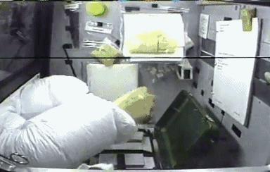 你知道青蛙旅行好玩，但不一定知道真正的青蛙早就玩过太空7日游