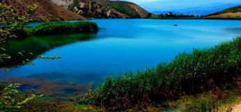 新疆吸引人的餐馆店名,景区餐馆招牌店名设计