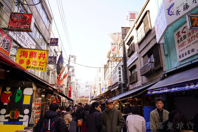 灌篮高手镰仓一日游,从东京去镰仓一日游