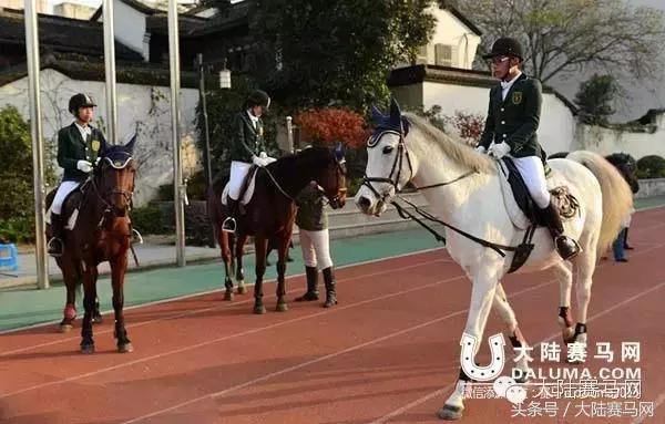 马术击剑高尔夫,马术击剑活动